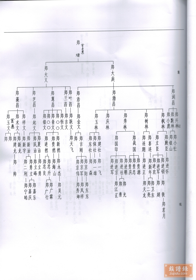 康家峪村郑氏家谱_相册_康家峪郑氏家谱世系表 - 族谱